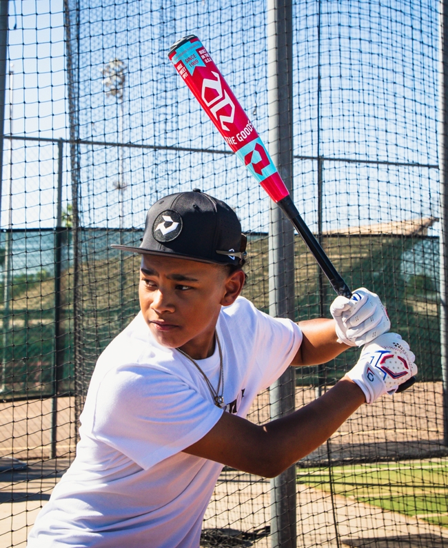 2027 DeMarini The Goods USA Baseball Bat